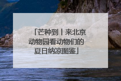 芒种到丨来北京动物园看动物们的夏日纳凉图鉴