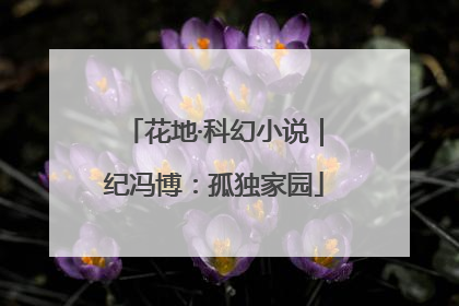 花地·科幻小说｜纪冯博：孤独家园