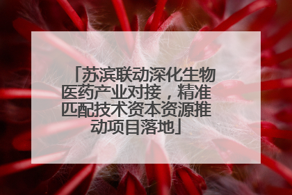 苏滨联动深化生物医药产业对接，精准匹配技术资本资源推动项目落地