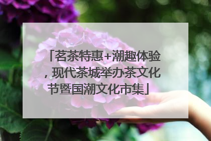 茗茶特惠+潮趣体验，现代茶城举办茶文化节暨国潮文化市集