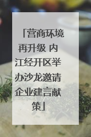 营商环境再升级 内江经开区举办沙龙邀请企业建言献策