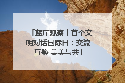 蓝厅观察丨首个文明对话国际日：交流互鉴 美美与共
