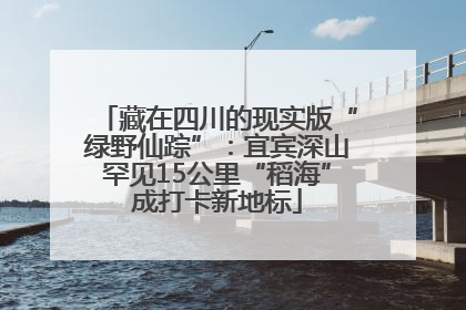 藏在四川的现实版“绿野仙踪”：宜宾深山罕见15公里“稻海”成打卡新地标