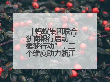 蚂蚁集团联合浙商银行启动“栀梦行动”，三个维度助力浙江下姜村建设共富示范区示范点
