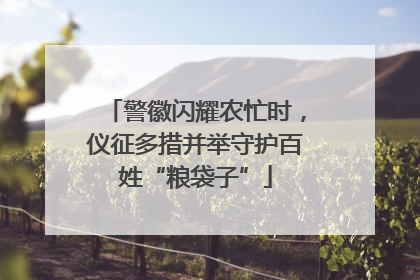 警徽闪耀农忙时，仪征多措并举守护百姓“粮袋子”