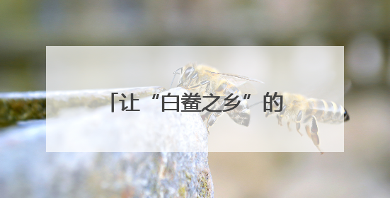 让“白鲞之乡”的好味道香飘四方
