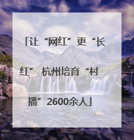 让“网红”更“长红” 杭州培育“村播”2600余人