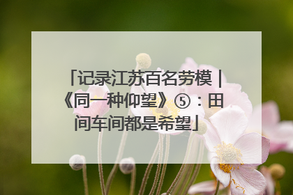 记录江苏百名劳模｜《同一种仰望》⑤：田间车间都是希望