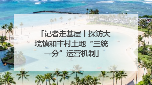 记者走基层丨探访大垸镇和丰村土地“三统一分”运营机制