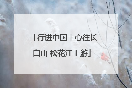行进中国丨心往长白山 松花江上游