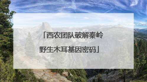 西农团队破解秦岭野生木耳基因密码