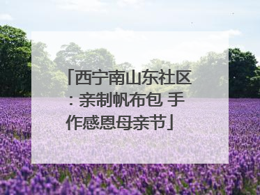 西宁南山东社区：亲制帆布包 手作感恩母亲节