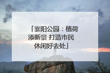 襄阳公园：植荷添新景 打造市民休闲好去处