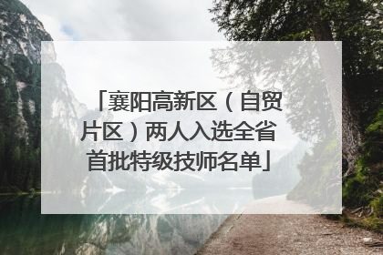 襄阳高新区（自贸片区）两人入选全省首批特级技师名单