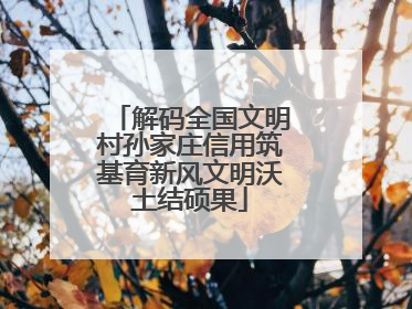 解码全国文明村孙家庄信用筑基育新风文明沃土结硕果