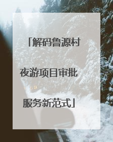 解码鲁源村夜游项目审批服务新范式
