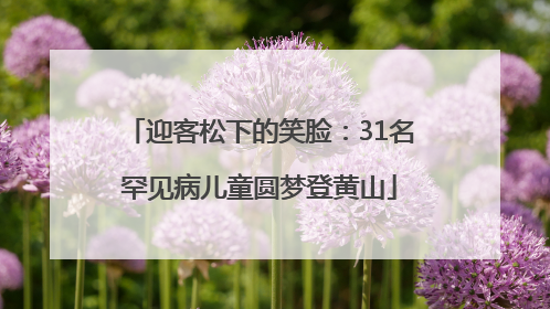 迎客松下的笑脸：31名罕见病儿童圆梦登黄山