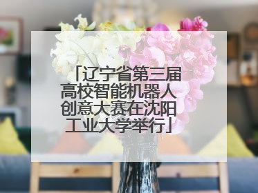 辽宁省第三届高校智能机器人创意大赛在沈阳工业大学举行