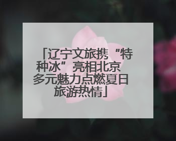辽宁文旅携“特种冰”亮相北京 多元魅力点燃夏日旅游热情