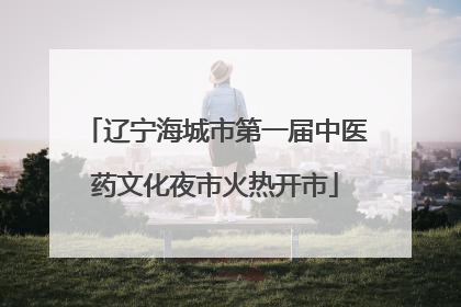 辽宁海城市第一届中医药文化夜市火热开市