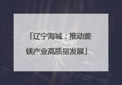 辽宁海城：推动菱镁产业高质量发展