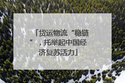 货运物流“稳链”，托举起中国经济复苏活力