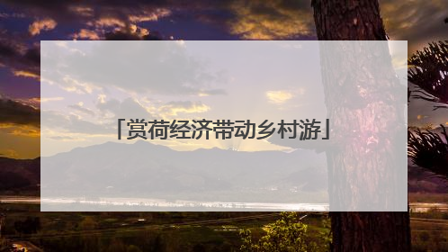 赏荷经济带动乡村游