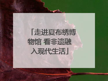 走进夏布绣博物馆 看非遗融入现代生活