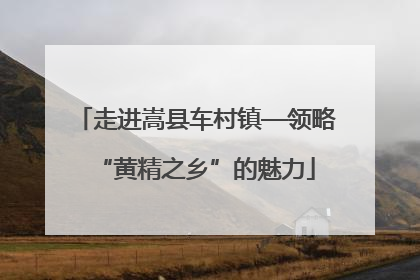 走进嵩县车村镇—领略“黄精之乡”的魅力