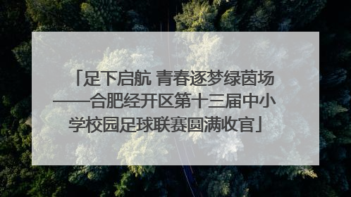 足下启航 青春逐梦绿茵场——合肥经开区第十三届中小学校园足球联赛圆满收官
