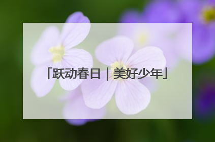 跃动春日｜美好少年