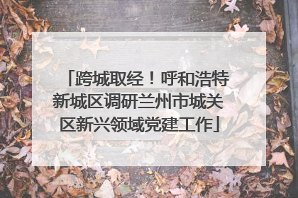 跨城取经！呼和浩特新城区调研兰州市城关区新兴领域党建工作