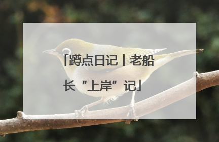 蹲点日记丨老船长“上岸”记