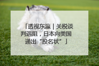 透视东瀛｜关税谈判遇阻，日本向美国递出“投名状”