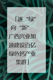逐“绿”向“新” 广西兴业加速建设百亿绿色钙产业集群