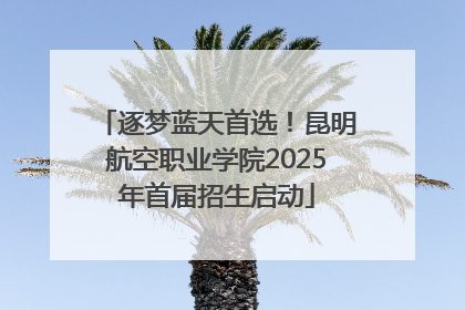 逐梦蓝天首选！昆明航空职业学院2025年首届招生启动
