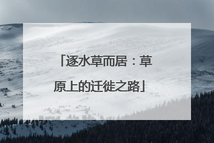 逐水草而居：草原上的迁徙之路