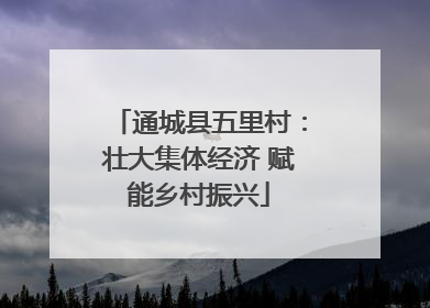通城县五里村：壮大集体经济 赋能乡村振兴