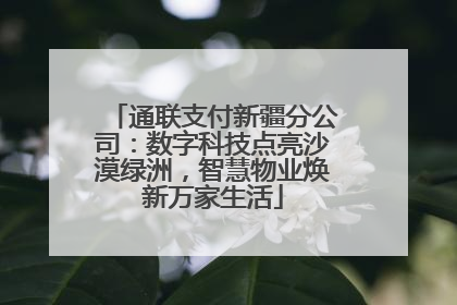 通联支付新疆分公司：数字科技点亮沙漠绿洲，智慧物业焕新万家生活