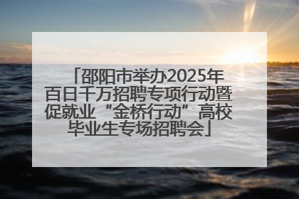 邵阳市举办2025年百日千万招聘专项行动暨促就业“金桥行动”高校毕业生专场招聘会
