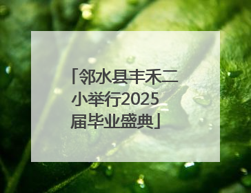 邻水县丰禾二小举行2025届毕业盛典