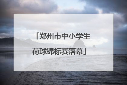 郑州市中小学生荷球锦标赛落幕