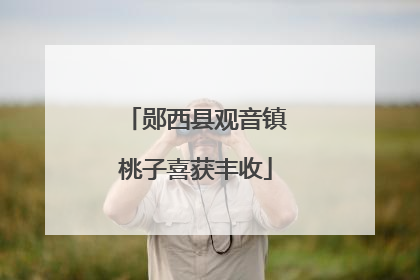 郧西县观音镇桃子喜获丰收