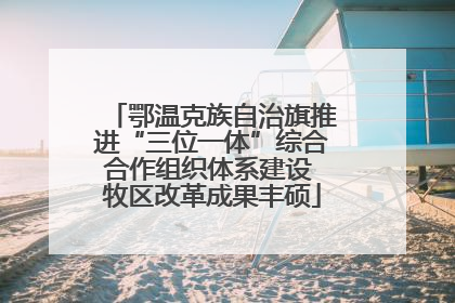 鄂温克族自治旗推进“三位一体”综合合作组织体系建设 牧区改革成果丰硕