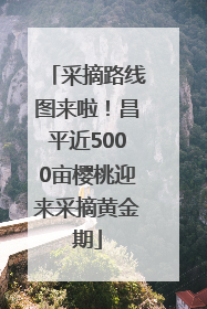 采摘路线图来啦！昌平近5000亩樱桃迎来采摘黄金期