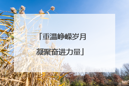 重温峥嵘岁月 凝聚奋进力量