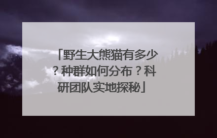 野生大熊猫有多少？种群如何分布？科研团队实地探秘