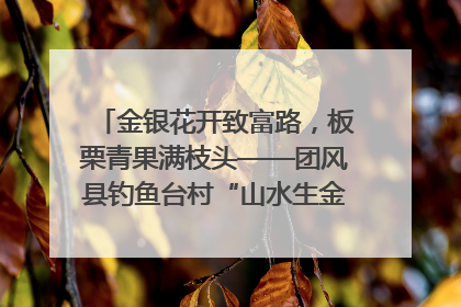 金银花开致富路，板栗青果满枝头——团风县钓鱼台村“山水生金”谱写共富新篇章