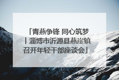 青燕争锋 同心筑梦丨淄博市沂源县燕崖镇召开年轻干部座谈会
