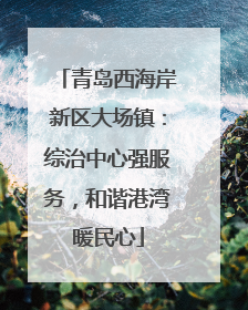 青岛西海岸新区大场镇：综治中心强服务，和谐港湾暖民心